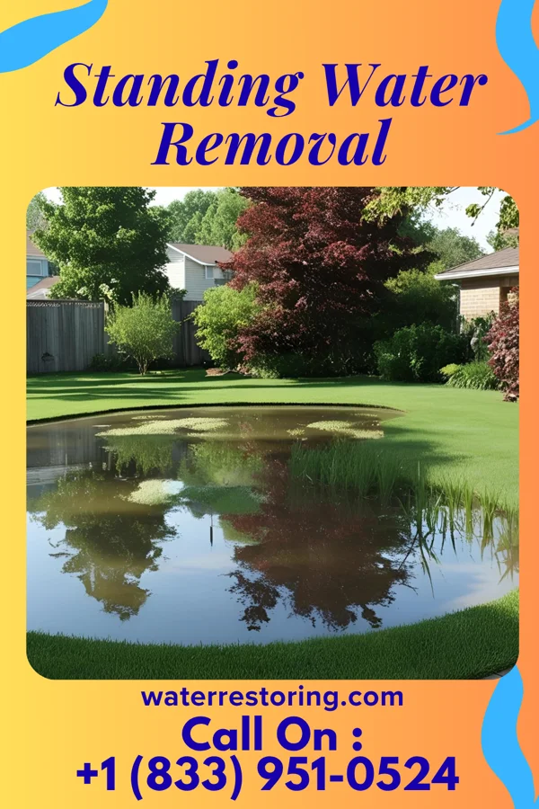 Standing Water Removal in Fayette, IA